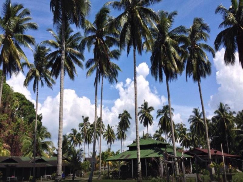 Fishing Bay Resort Mersing Exterior foto